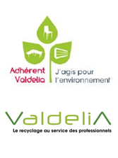 Logo Valdelia